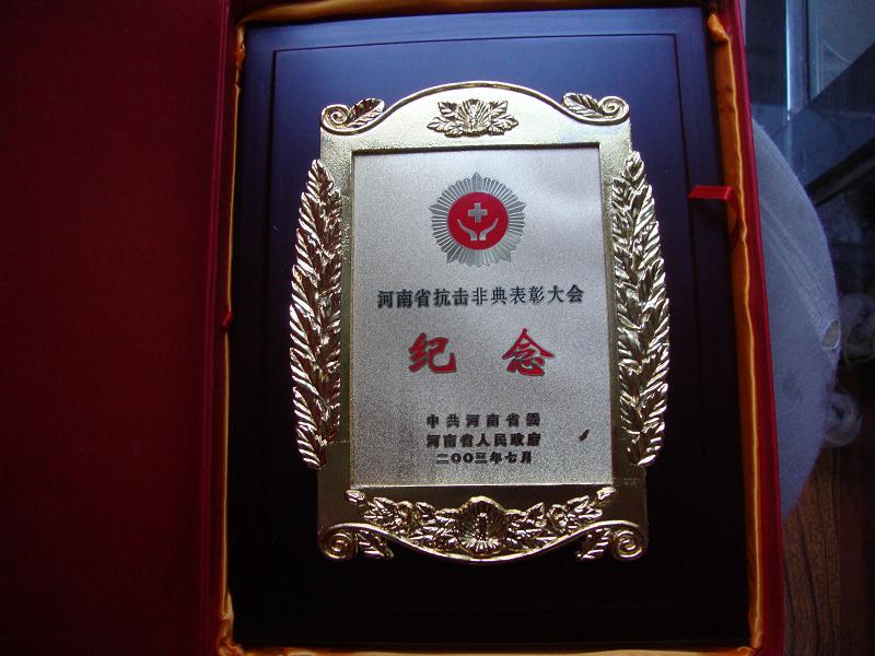 2003年河南省抗击非典表彰大会纪念章