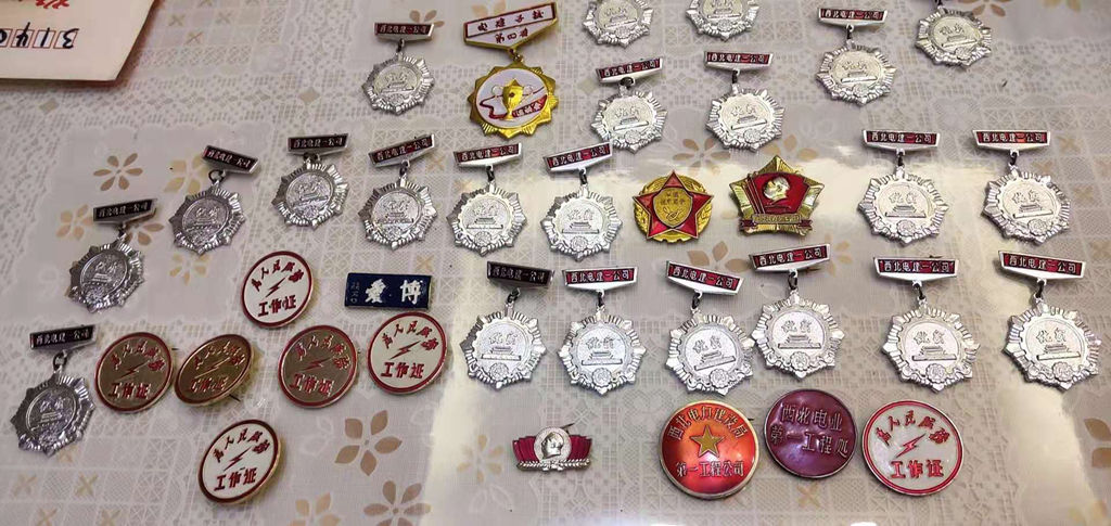 密码保护：博爱孙文，电力优质奖章，主席像章像章35个
