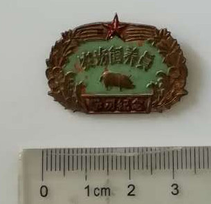 江西省农场词养员训练班学习纪念章