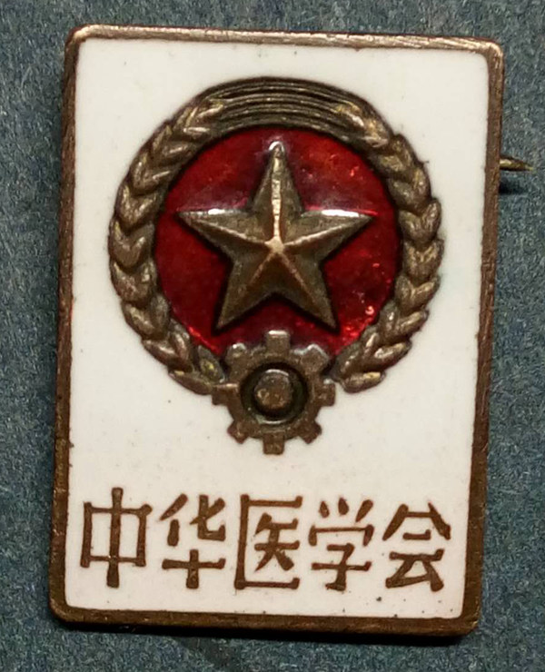 中华医学会北京总会徽章